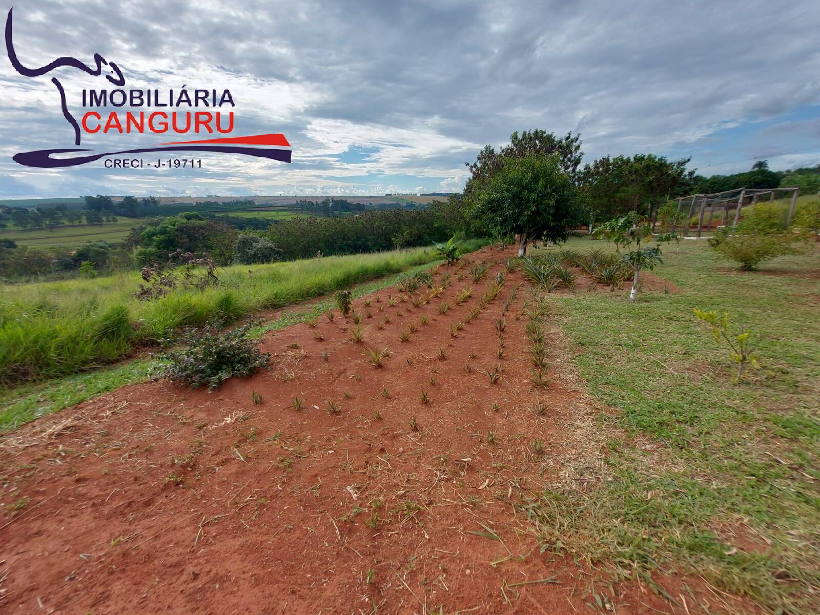 Terreno à venda, 2144m² - Foto 7