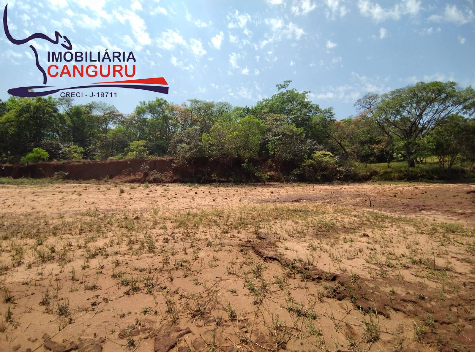 Fazenda à venda, 1000m² - Foto 4