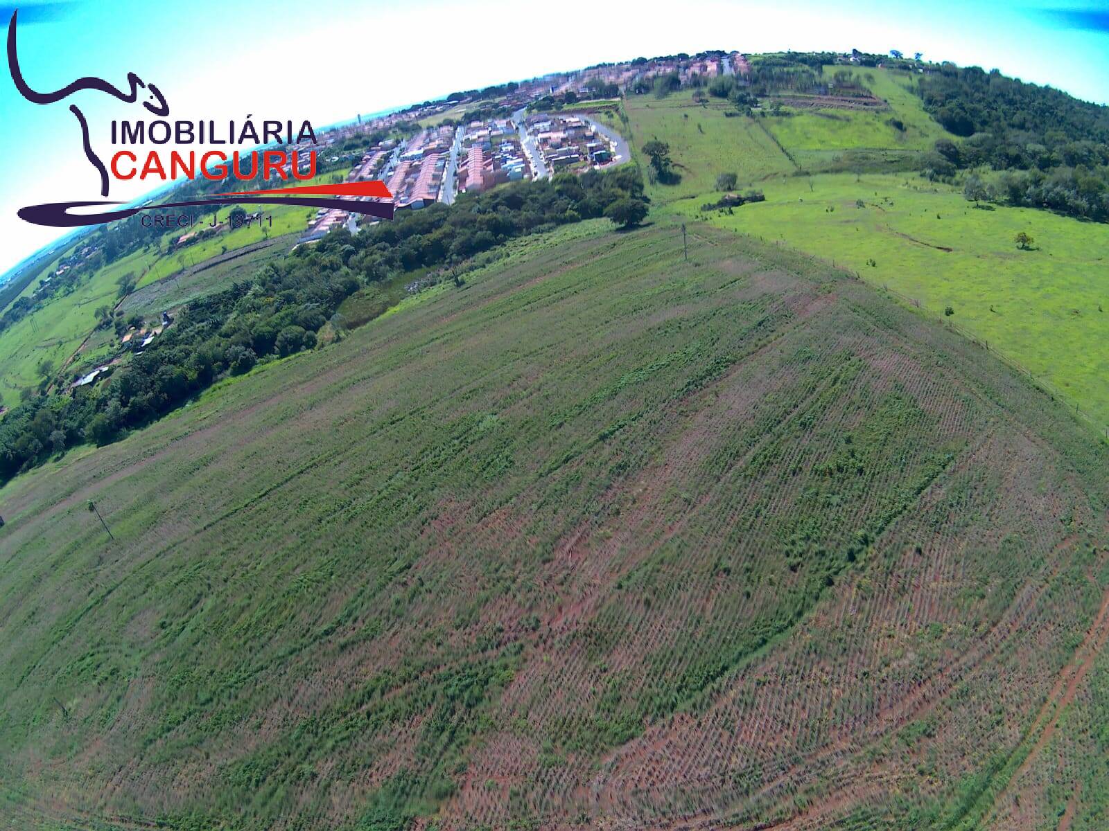 Fazenda à venda, 77000m² - Foto 6