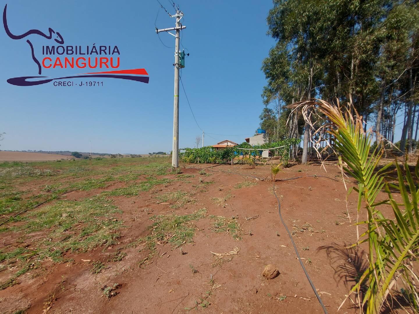 Fazenda à venda com 3 quartos, 48400m² - Foto 12