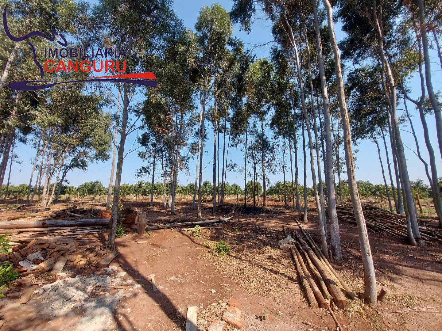 Fazenda à venda com 3 quartos, 48400m² - Foto 18