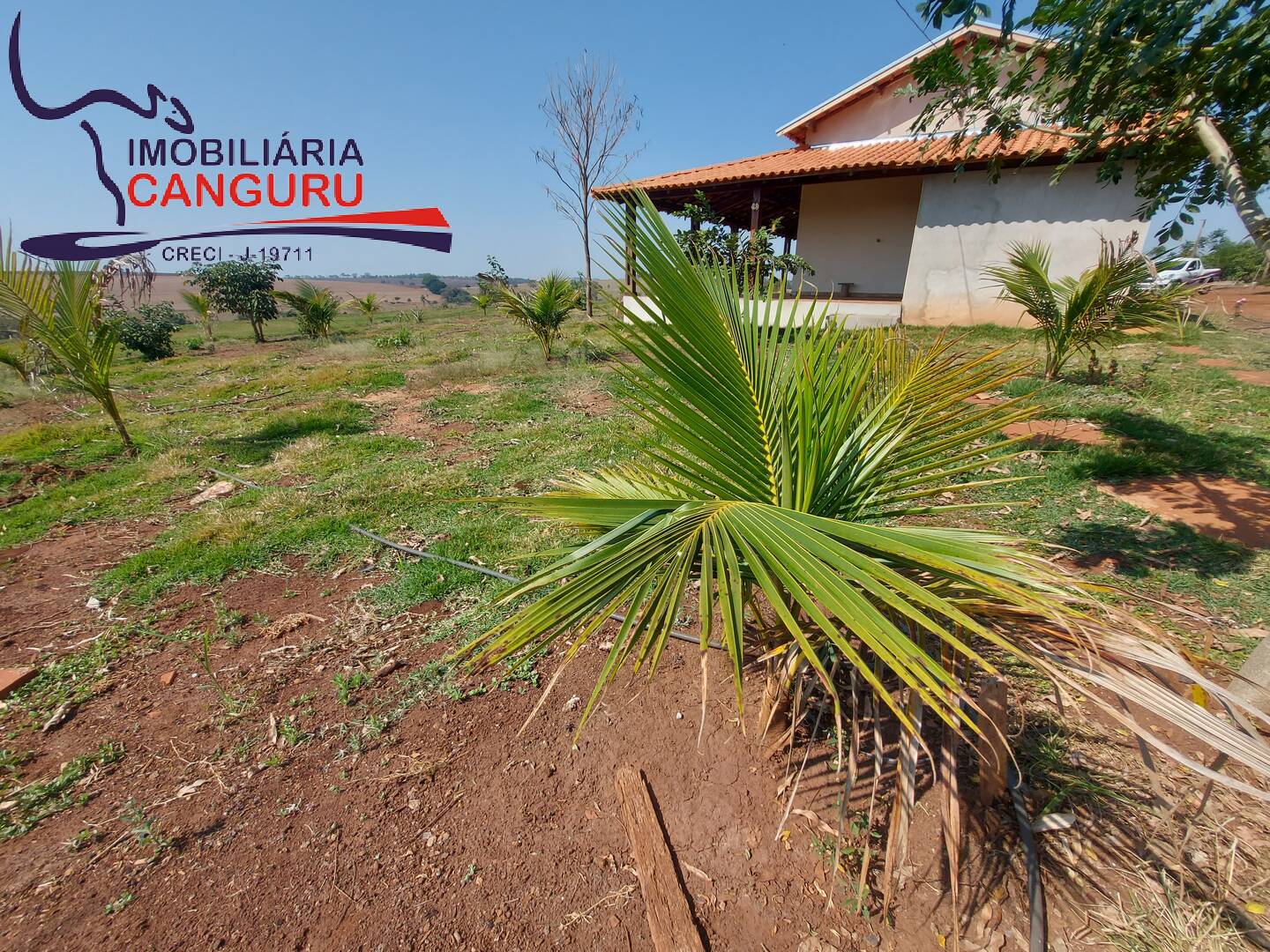 Fazenda à venda com 3 quartos, 48400m² - Foto 19