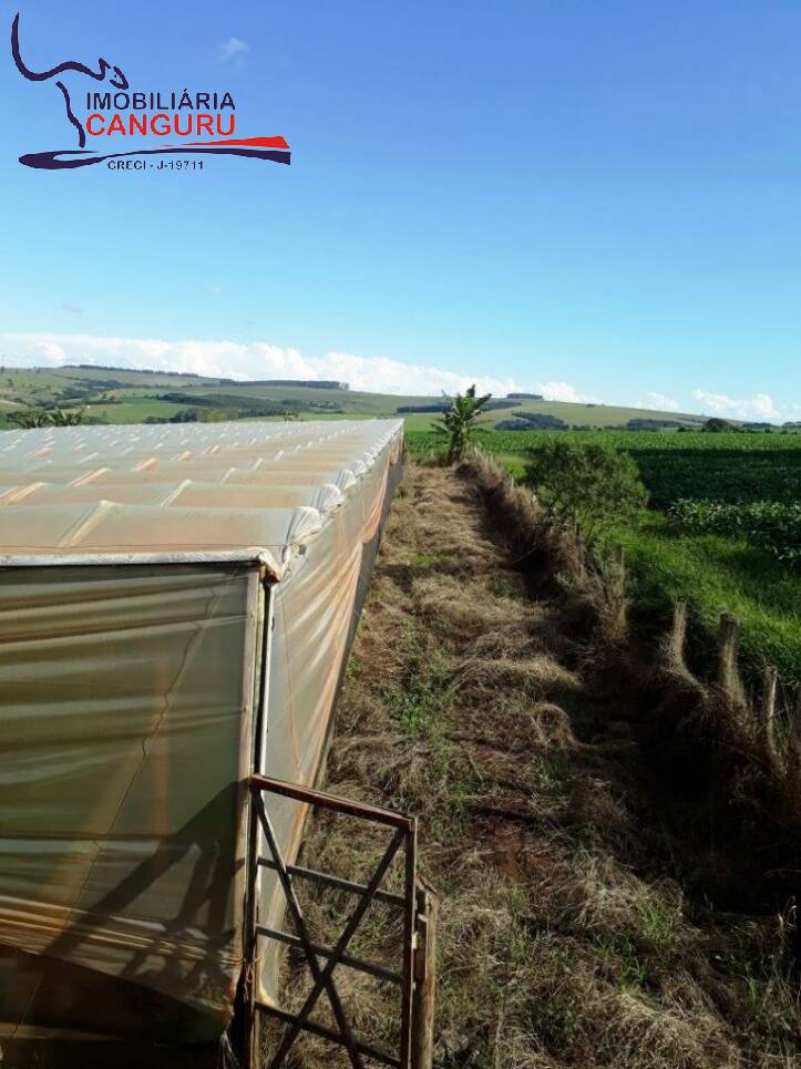 Fazenda à venda com 2 quartos, 60m² - Foto 12