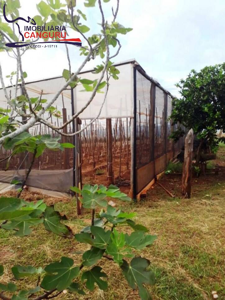 Fazenda à venda com 2 quartos, 60m² - Foto 26