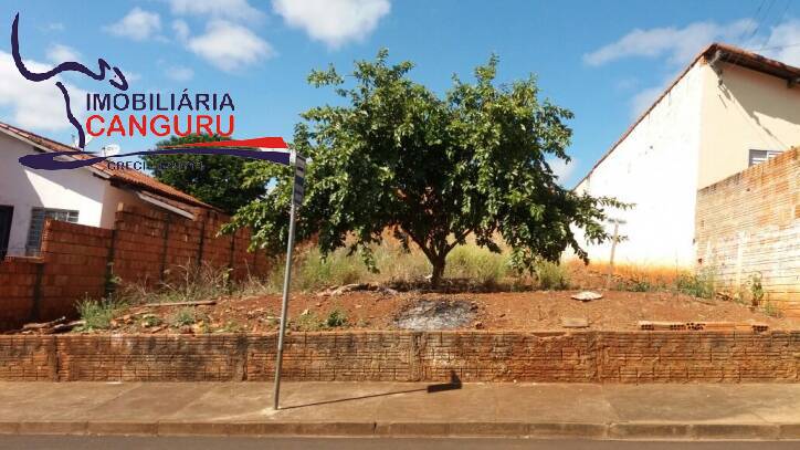 Terreno à venda, 300m² - Foto 1